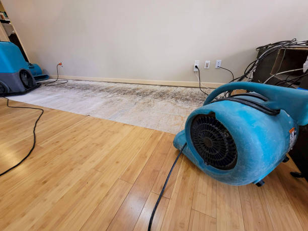 Professional Structural Drying technician working in Pacific, WA